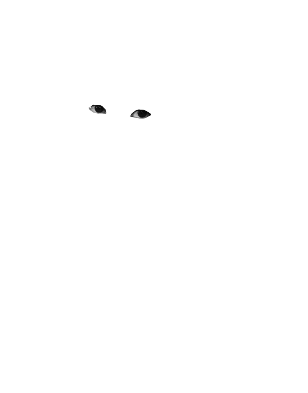 OJOS